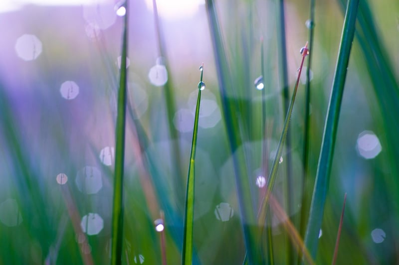 Fairy-tale Photography