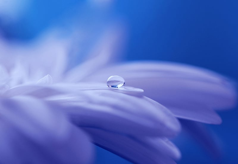 Fairy-tale Photography